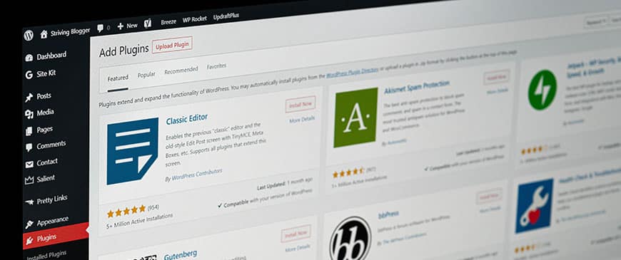 Wordpress cms